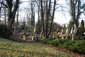 Celkový pohled na hřbitov (© Petr Nožička, 12/2008)
