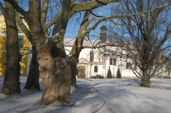  (© Zdeněk Susa, 02/2009)