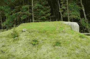 Řopík - zásyp (© Martin Landovský 08/2004)