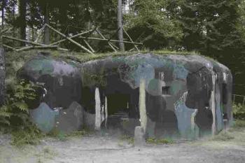 Řopík ze Všemilské linie (© Martin Landovský 08/2004)