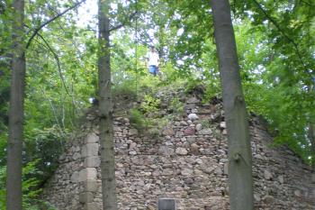 Vlk na Příběnicích:-) (© Marek Reimann, 08/2012)