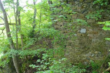 Příběnice - zříceniny zdiva (© Pavel Jarý,  13.05.2009)