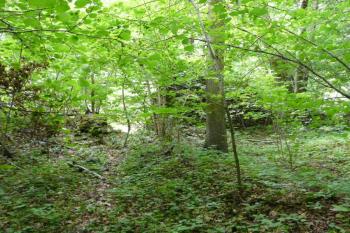 Zříceniny hradu v Příběnicích (© Jaroslav Šefčík, 08/2009)