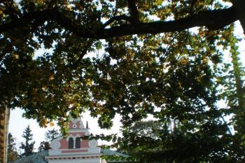 Svobodné Hamry (© Tomáš Hák, 10/2009)