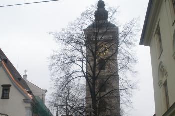  (© Jiří Suchomel, 01/2009)