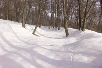 Příkop na jihovýchodní straně ( © Roman Řezáč 02/2006)