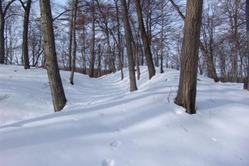Příkop na severovýchodní straně ( © Roman Řezáč 02/2006)