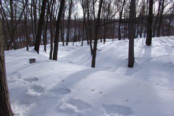 Východní zaoblení příkopu ( © Roman Řezáč 02/2006)