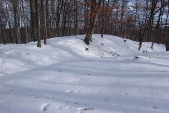 Vnější val před příkopem na severovýchodní straně ( © Roman Řezáč 02/2006)