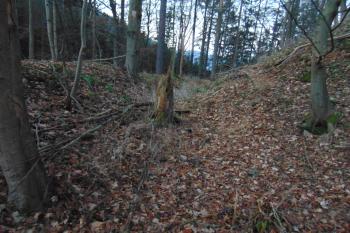 První, mělký příkop před předhradím (© Dušan Dohňanský 1/2021)