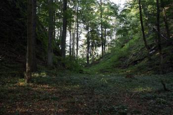 Hluboký příkop mezi předhradím a přední částí samotného jádra hradu ( © Iva Spurná 26.9.2009)