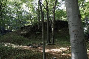 Skalnatý výchoz v čele jádra hradu ( © Iva Spurná 26.9.2009)