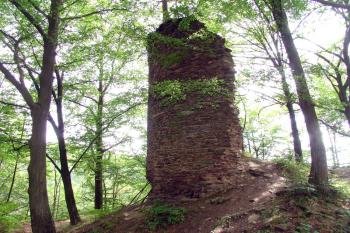  ( © Jiří Čížek 07/2009)