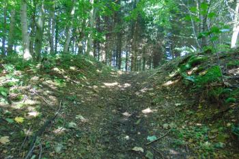 Vstup do vlastního hradu přes rozesutý val v čele hradu (© Dušan Dohňanský  07/2021)