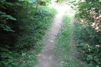 Pohled z příkopu na přístupové cestě (© Petr Nožička, 07/2006)