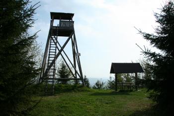 Pohled směrem k mysliveckému posedu na hradu (© Petr Nožička, 04/2009)