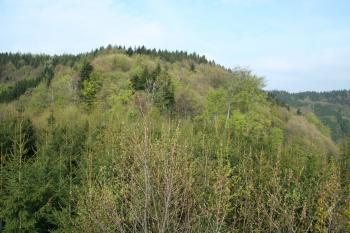 Pohled na hrad z posedu  (© Petr Nožička, 04/2009)