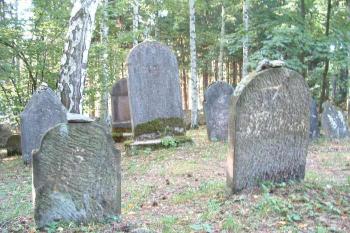  (© Stanislav Brebera 09/2004)