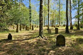 židovský hřbitov v Dřevíkově (© Jan P. Štěpánek  09/2024)
