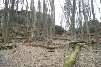 zřícenina hradu Rabštejn (© Vlastislav Mareček, 03/2007)