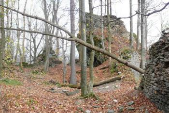 pohled od zpadu na hradní jádro, místo východních budov a na skálu s pozůstatky strážní věže ( © Jan P. Štěpánek 11/2008)