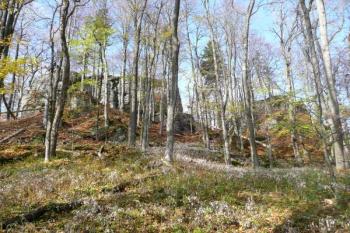 celkový pohled z plochy velkého předhradí (dolního hradu) na jádro horního hradu v podobě mohutných skalisek ( © Jan P. Štěpánek 10/2008)
