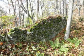 úsek hradby i jihozápadního bastionu dolního hradu ( © Jan P. Štěpánek 10/2008)