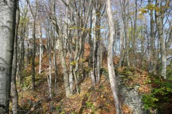 pohled z jihozápadního bastionu dolního hradu na horní hrad ( © Jan P. Štěpánek 10/2008)