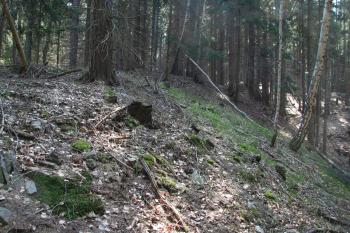 Pohled z pravého boku na hrádek ( © Petr Nožička 04/2010)