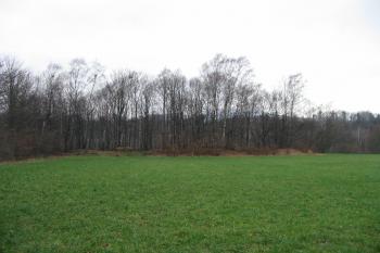 pohled z příjezdové cesty na východě,vzadu dobře rozeznatelný východní val (© D Dohňanský, 12/2015)