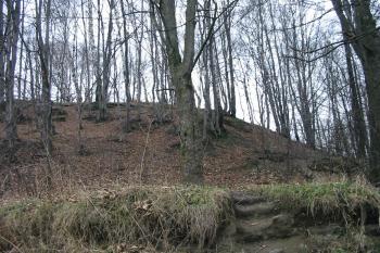 jižní část hrádku od řeky Olše (© D Dohňanský, 12/2015)