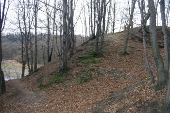 západní sráz hrádku,svažujicí se k řece Olši (© D Dohňanský, 12/2015)