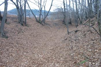 sev.část okružního příkopu (© D Dohňanský, 12/2015)