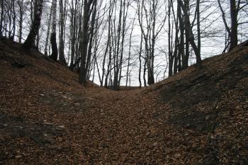 začátek příkopu na jv. (© D Dohňanský, 12/2015)