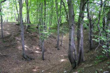POhled do mohutného okružního příkopu (© Jan P. Štěpánek 2005)