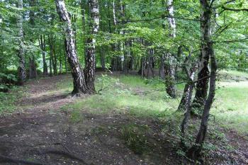 POhled od brány hrádku na zvýšenou hranu jádra směrem k  příkopu (© Jan P. Štěpánek 2005)