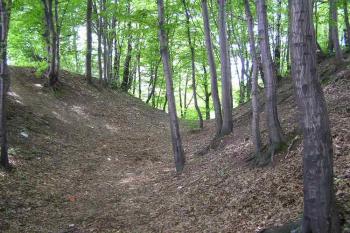 Mohutný okružní příkop hrádku (© Jan P. Štěpánek 2005)