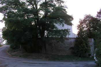  ( © Roman Řezáč 09/2004)