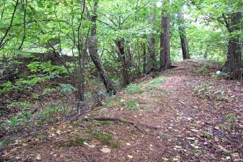 Příkop oddělující tvrz od předpolí ( © Roman Řezáč 09/2004)