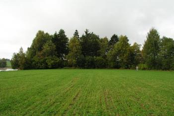 Místo tvrze, pohled z předpolí ( © Roman Řezáč 09/2004)