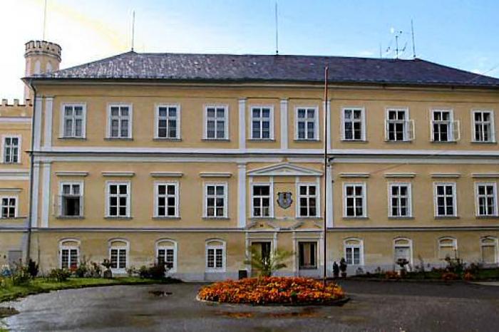 Vojkov
