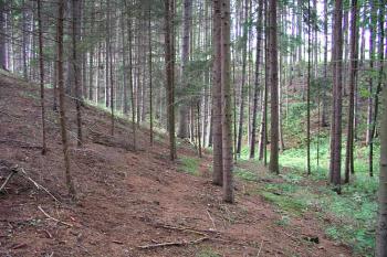 Severní úval s potůčkem pod jádrem, zajišťující přirozenou ochranu ( © Roman Řezáč 09/2004)
