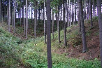 Úval s potůčkem na západní straně pod jádrem ( © Roman Řezáč 09/2004)