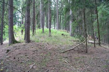přístup po šíji od východu (© D Dohňanský, 07/2014)