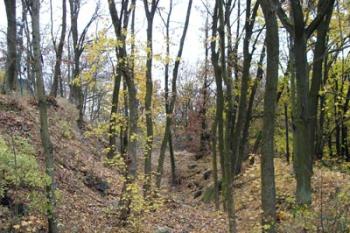  ( © iV 3.11.2007)