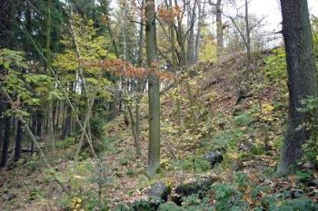  ( © iV 3.11.2007)