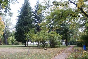 zámecký park (© Lenka Martinková 10/2004)