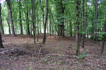 Celkový pohled ( © Roman Řezáč 10/2004)