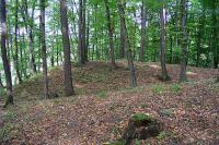 Haluzice