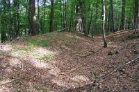 Haluzice